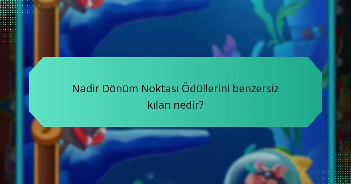 Nadir Dönüm Noktası Ödüllerini benzersiz kılan nedir?